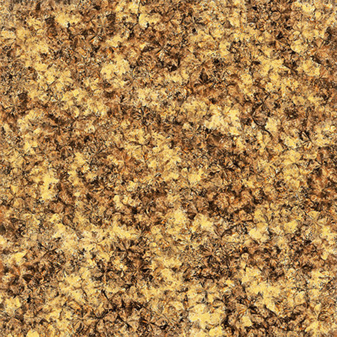 91看片的免费的网站陶2.0厚微晶石：淺金啡KFB88012單片