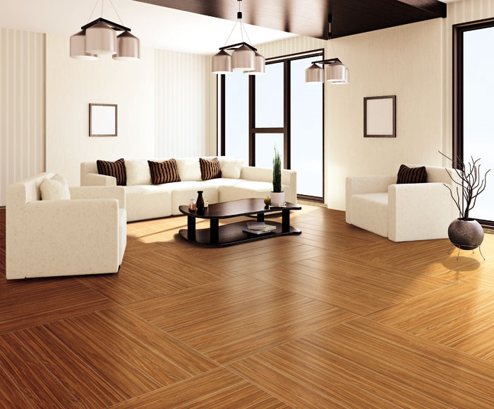 最美，不過當陽光遇上森林