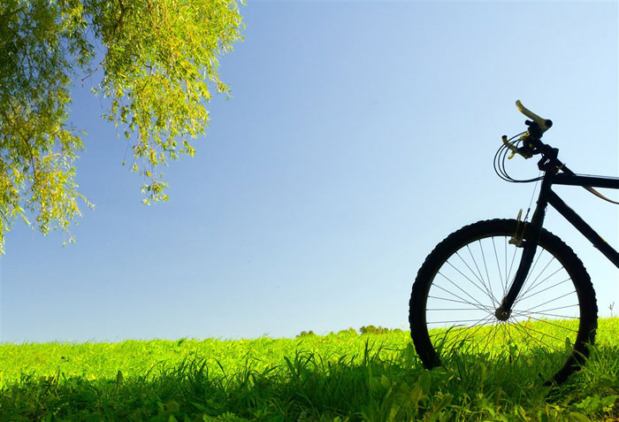 即便是春風十裏，依然不如你